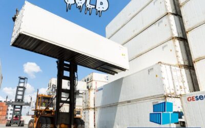 The 9 Benefits of a Reefer Container for Storage